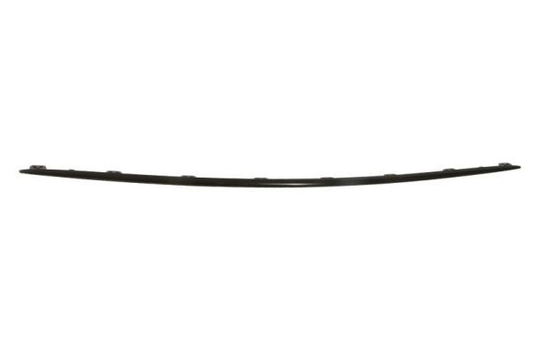 BLIC 5703-05-3519972P Trim/Protection Strip, bumper