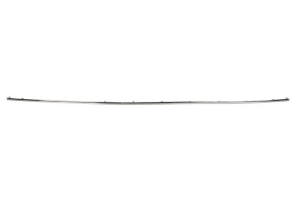 BLIC 5703-05-3527969P Trim/Protection Strip, bumper