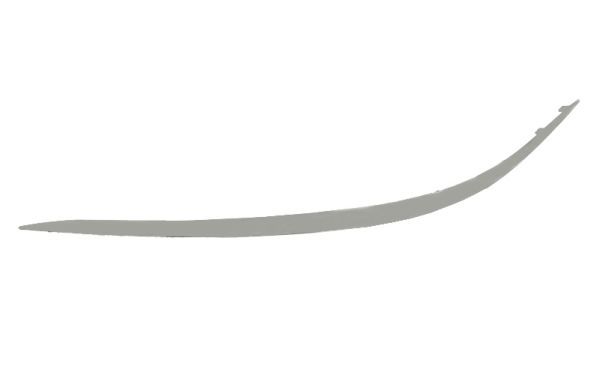 BLIC 5703-05-3528926P Trim/Protection Strip, bumper