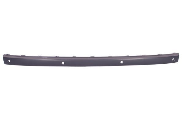 BLIC 5703-05-3528973P Trim/Protection Strip, bumper
