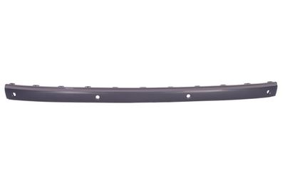 Trim/Protection Strip, bumper BLIC 5703-05-3528973P