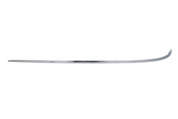 BLIC 5703-05-3528975P Trim/Protection Strip, bumper