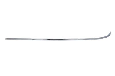 Trim/Protection Strip, bumper BLIC 5703-05-3528975P