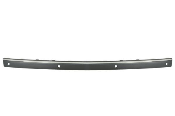 BLIC 5703-05-3528979P Trim/Protection Strip, bumper