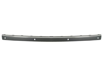 Trim/Protection Strip, bumper BLIC 5703-05-3528979P