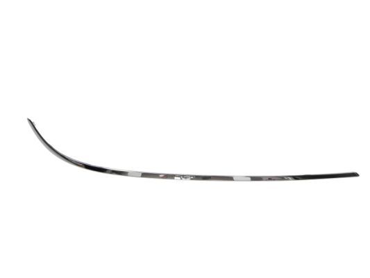 BLIC 5703-05-3529922P Trim/Protection Strip, bumper