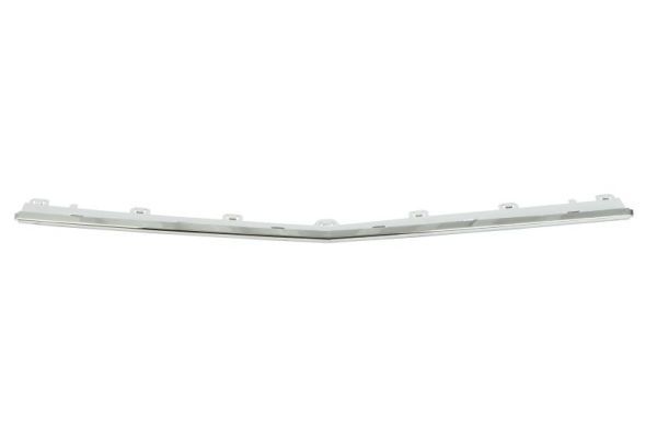 BLIC 5703-05-3529927P Trim/Protection Strip, bumper