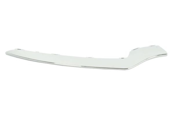 BLIC 5703-05-3529928P Trim/Protection Strip, bumper