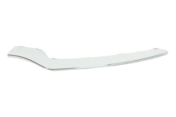 BLIC 5703-05-3529929P Trim/Protection Strip, bumper