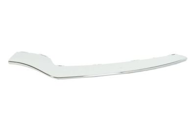 Trim/Protection Strip, bumper BLIC 5703-05-3529929P