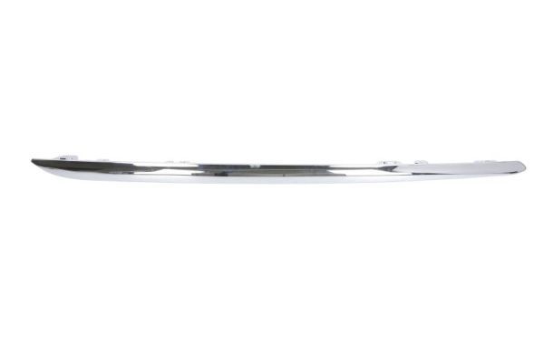 BLIC 5703-05-3529974P Trim/Protection Strip, bumper