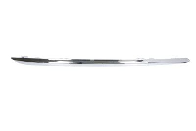 Trim/Protection Strip, bumper BLIC 5703-05-3529974P