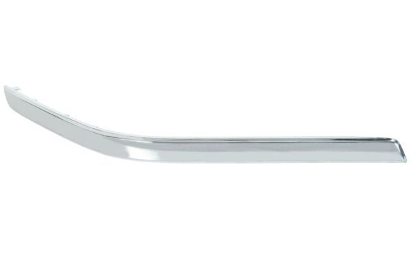 BLIC 5703-05-3580971P Trim/Protection Strip, bumper