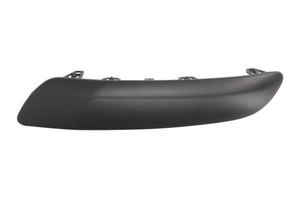 BLIC 5703-05-5519978P Trim/Protection Strip, bumper
