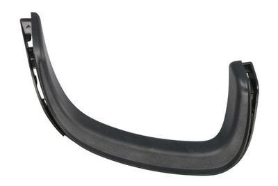 Trim/Protection Strip, bumper BLIC 5703-05-5730972P
