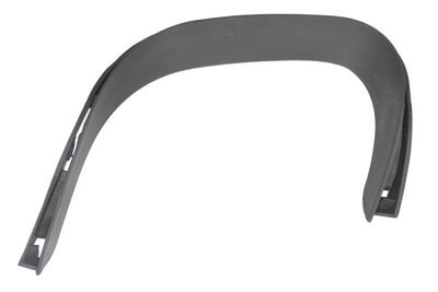 Trim/Protection Strip, bumper BLIC 5703-05-5730973P