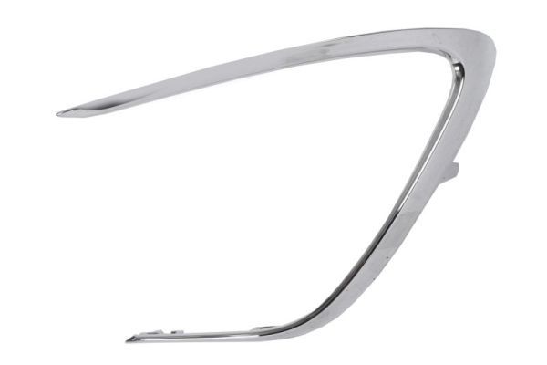 BLIC 5703-05-8167932P Trim/Protection Strip, bumper