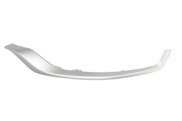 BLIC 5703-05-8187921P Trim/Protection Strip, bumper