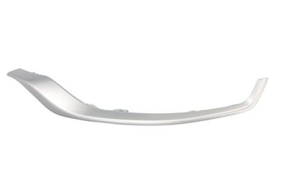 Trim/Protection Strip, bumper BLIC 5703-05-8187921P