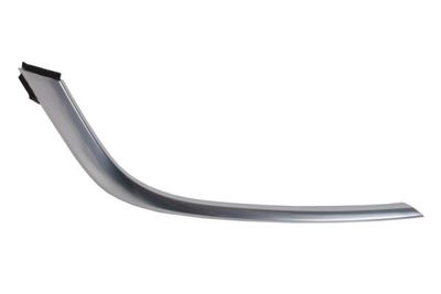 Trim/Protection Strip, bumper BLIC 5703-05-9080922P