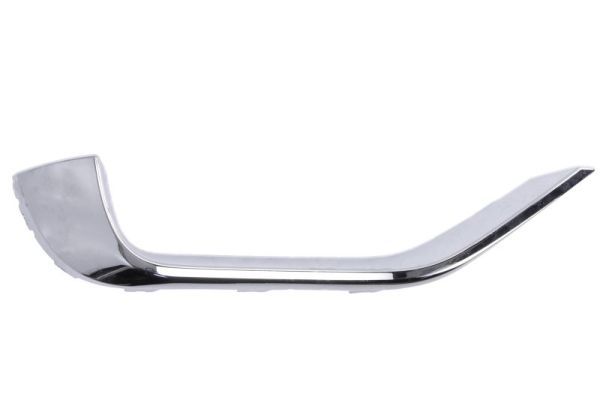 BLIC 5703-05-9683971P Trim/Protection Strip, bumper