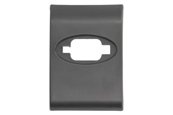 BLIC 5703-06-6089570LP Trim/Protection Strip, quarter panel