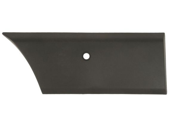 BLIC 5703-06-6089574BP Trim/Protection Strip, quarter panel