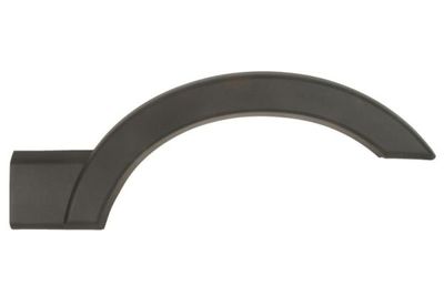 Trim/Protection Strip, quarter panel BLIC 5703-06-6089574PP