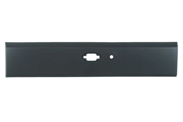 BLIC 5703-06-6089574SP Trim/Protection Strip, quarter panel