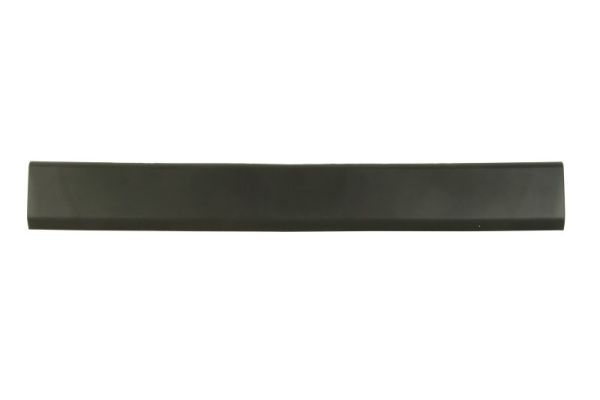 BLIC 5703-06-6089575FP Trim/Protection Strip, quarter panel