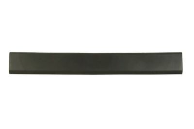 Trim/Protection Strip, quarter panel BLIC 5703-06-6089575FP