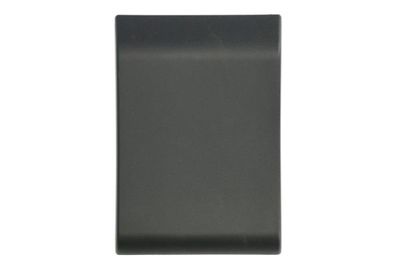 Trim/Protection Strip, quarter panel BLIC 5703-06-6089575PP