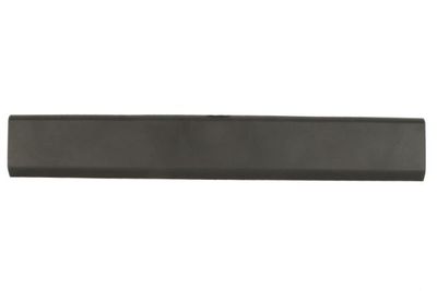 Trim/Protection Strip, quarter panel BLIC 5703-06-6089575SP