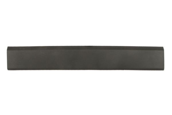BLIC 5703-06-6089576SP Trim/Protection Strip, quarter panel