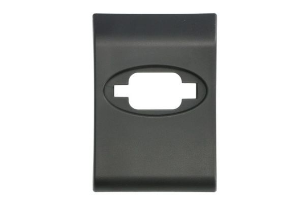 BLIC 5703-06-6089577PP Trim/Protection Strip, quarter panel