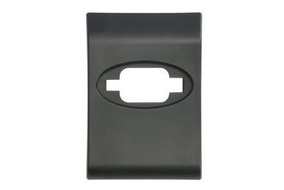 Trim/Protection Strip, quarter panel BLIC 5703-06-6089577PP