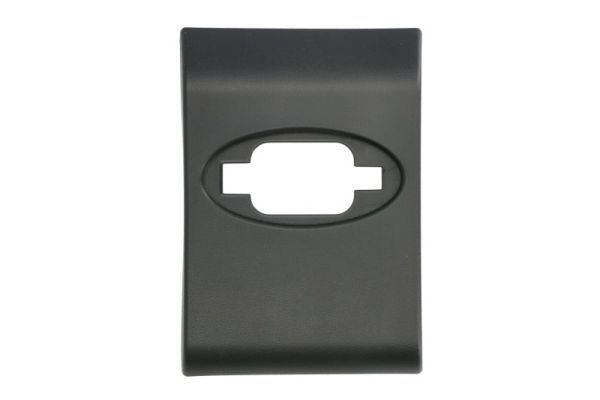 BLIC 5703-06-6089578PP Trim/Protection Strip, quarter panel
