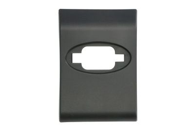 Trim/Protection Strip, quarter panel BLIC 5703-06-6089578PP