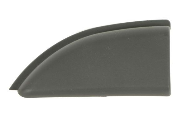 BLIC 5703-06-6089579P Trim/Protection Strip, quarter panel