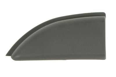 Trim/Protection Strip, quarter panel BLIC 5703-06-6089579P