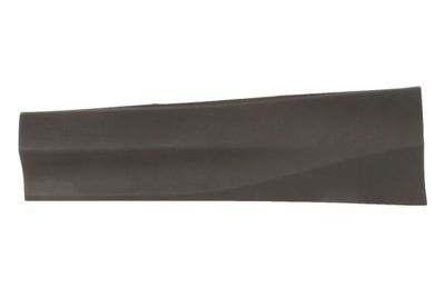 Trim/Protection Strip, door BLIC 5703-06-8178578P