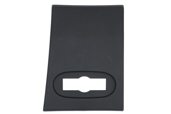 BLIC 5703-06-9564571PP Trim/Protection Strip, quarter panel