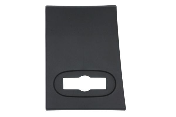 BLIC 5703-06-9564572PP Trim/Protection Strip, quarter panel