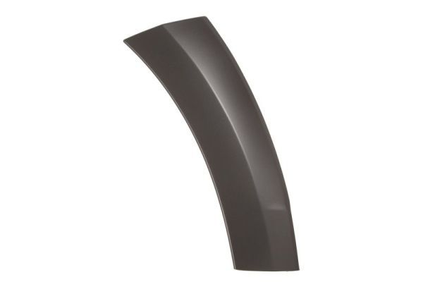 BLIC 5703-08-0035372P Trim/Protection Strip, bumper