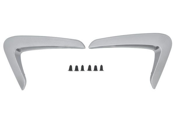 BLIC 5703-08-0070370P Trim/Protection Strip, wing