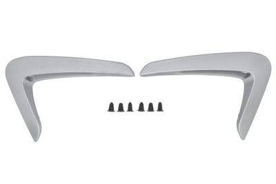 Trim/Protection Strip, wing BLIC 5703-08-0070370P
