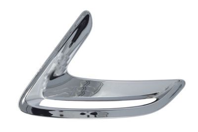 Trim/Protection Strip, wing BLIC 5703-08-0081371P