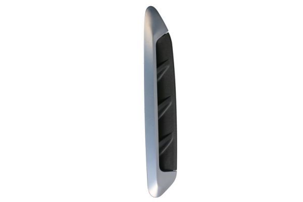 BLIC 5703-08-0097378P Trim/Protection Strip, wing