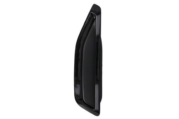 BLIC 5703-08-0098375P Trim/Protection Strip, wing