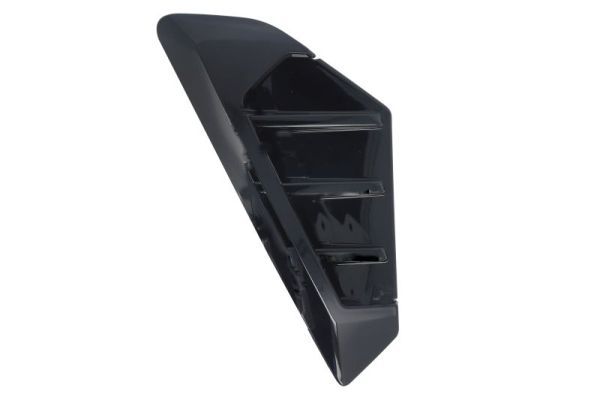 BLIC 5703-08-0098377P Trim/Protection Strip, wing